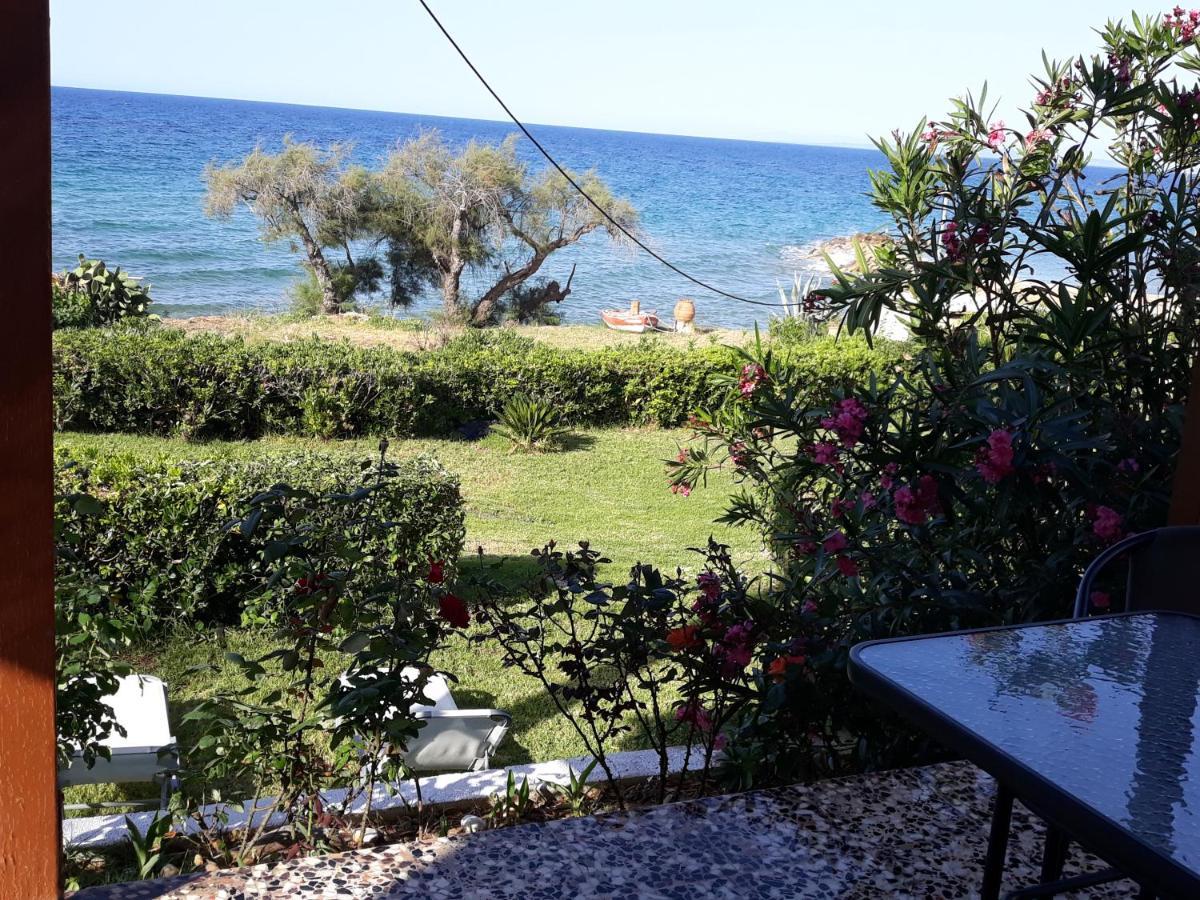 Beach Bungalows Apartment