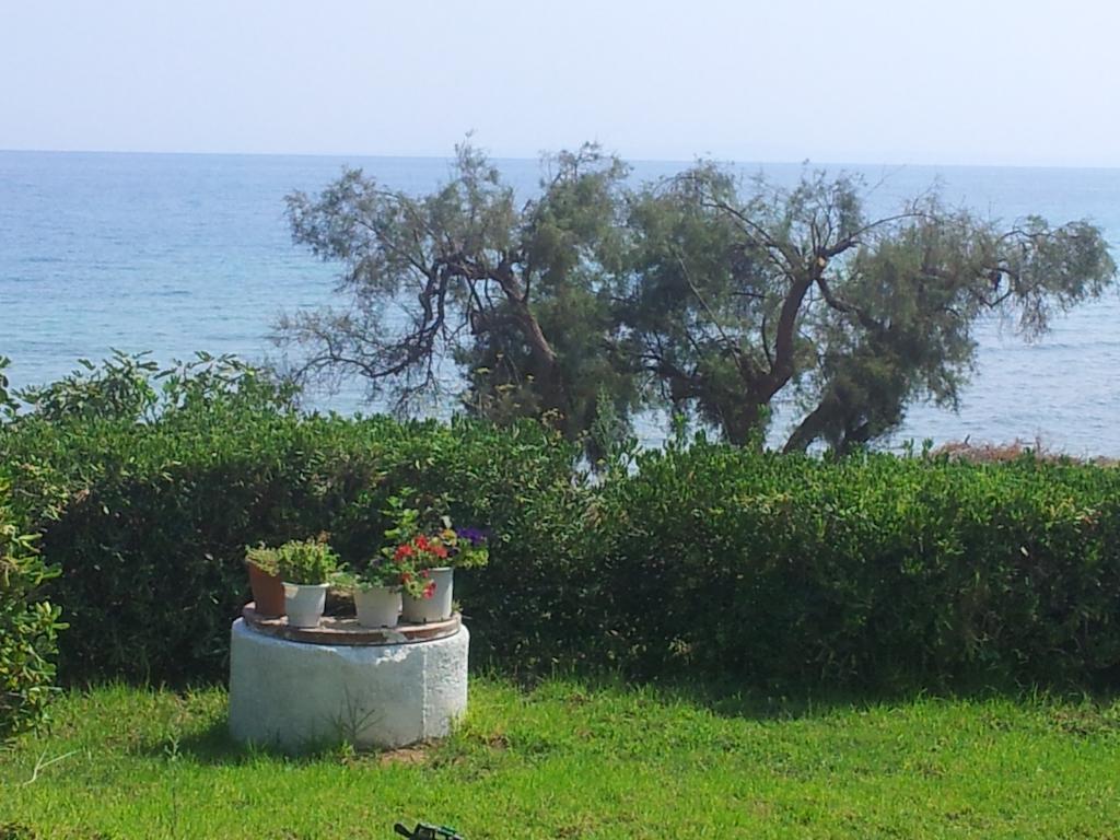 Beach Bungalows * Кипсели