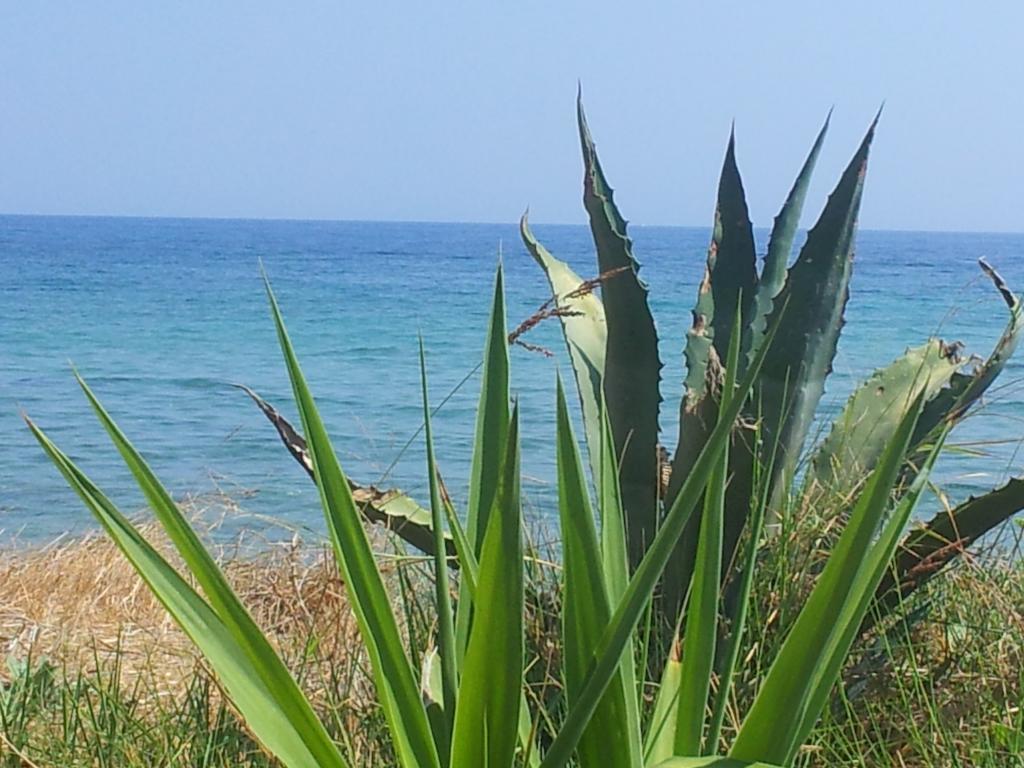 Beach Bungalows Кипсели