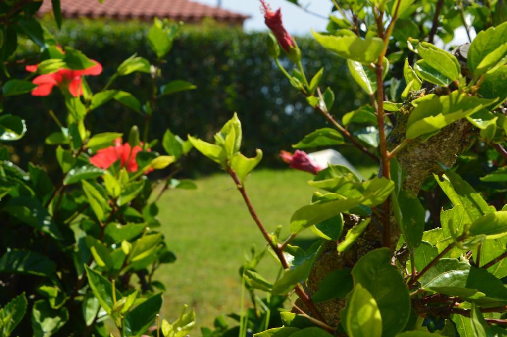 Apartament Beach Bungalows Kypseli